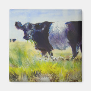 Umgeschnallte Galloway-Kuh-Malerei Magnet