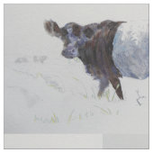 Umgeschnallte Galloway-Kuh Stoff (Nahaufnahme)