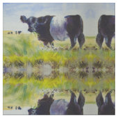 Umgeschnallte Galloway-Kuh Stoff (Nahaufnahme)