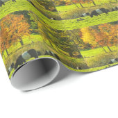 Umgeschnallte Galloway-Kühe auf Rockport Maine Geschenkpapier (Rolleneckpunkt)