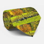 Umgeschnallte Galloway-Kühe auf Rockport Maine Krawatte (Gerollt)