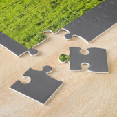 Umgeschnallte Galloway-Kühe, die auf Gras im Fall Puzzle (Seite)