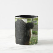 Umgeschnallte Kuh in Cambridge Tasse (Zentrum)