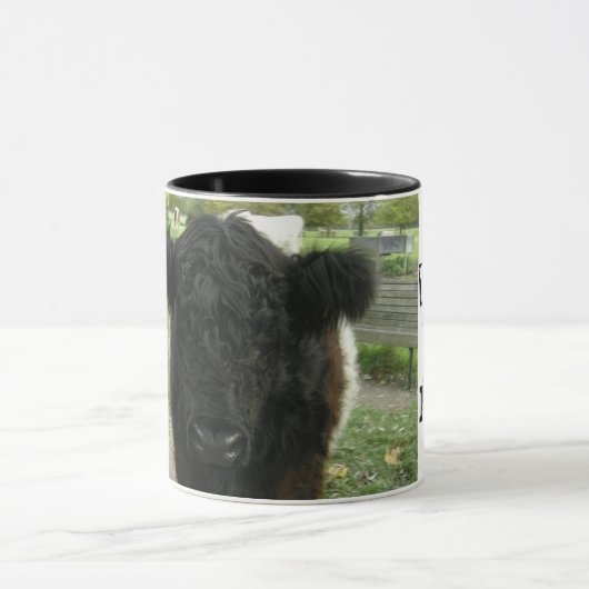 Umgeschnallte Kuh in Cambridge Tasse (Zentrum)