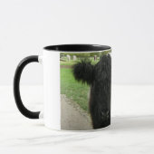 Umgeschnallte Kuh in Cambridge Tasse (Links)