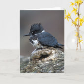 Umgeschnallter Eisvogel Karte (Gelbe Blume)