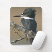 Umgeschnallter Eisvogel Mousepad (Mit Mouse)