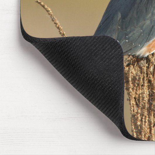 Umgeschnallter Eisvogel Mousepad (Ecke)