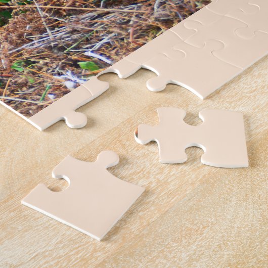 Umgeschnalltes Galloway-Vieh Puzzle (Seite)