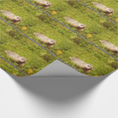 Umhüllen Sie heute ein Kartonpapier Geschenkpapier (Ecke)