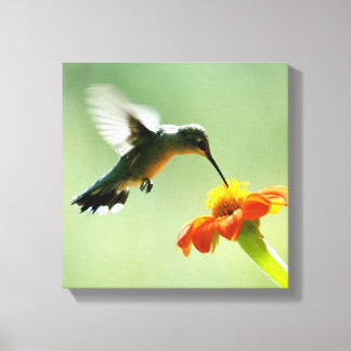 Umhüllte Leinwand von Kolibris und Blume