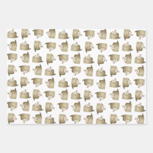 Umhüllung - Kleintiere Geschenkpapier Set (Vorderseite 3)