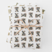 Umhüllung - Kleintiere Geschenkpapier Set (Beispiel)