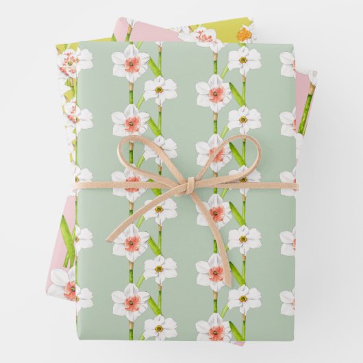 Umhüllungspapier auf einem Set (B) Geschenkpapier Set (Beispiel)