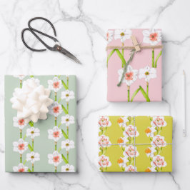 Umhüllungspapier auf einem Set (B) Geschenkpapier Set