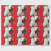 Umhüllungspapier aus roter Guinea Geschenkpapier (Flach)