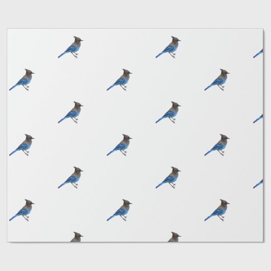 Umhüllungspapier der stellarblauen Jay Geschenkpapier (Flach)