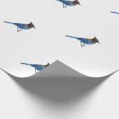 Umhüllungspapier der stellarblauen Jay Geschenkpapier (Ecke)