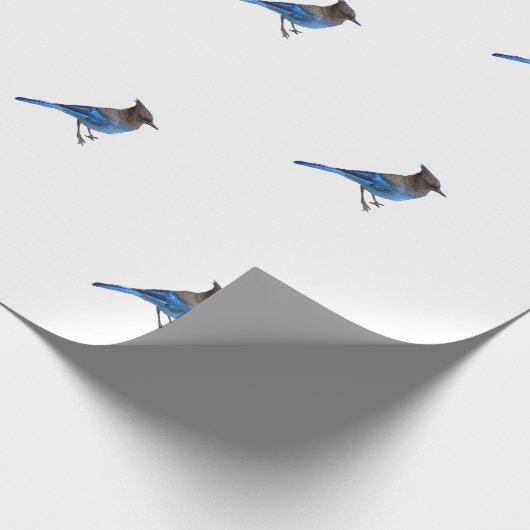 Umhüllungspapier der stellarblauen Jay Geschenkpapier (Ecke)