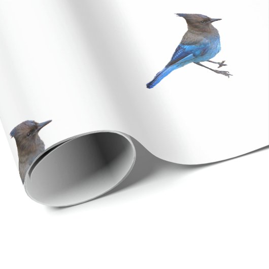 Umhüllungspapier der stellarblauen Jay Geschenkpapier (Rolleneckpunkt)