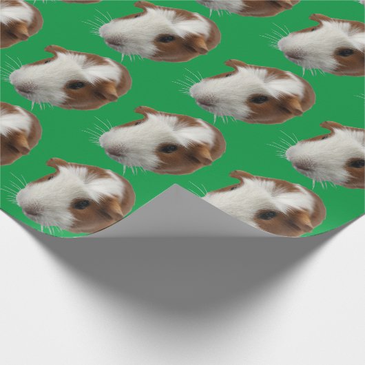 Umhüllungspapier für Guinea Geschenkpapier (Ecke)