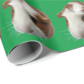 Umhüllungspapier für Guinea Geschenkpapier (Rolleneckpunkt)