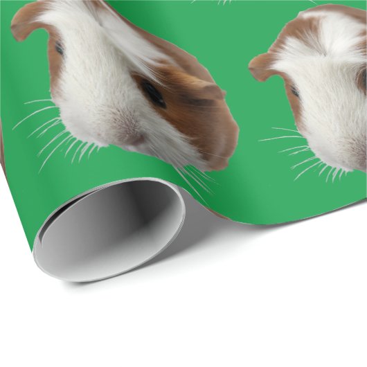 Umhüllungspapier für Guinea Geschenkpapier (Rolleneckpunkt)