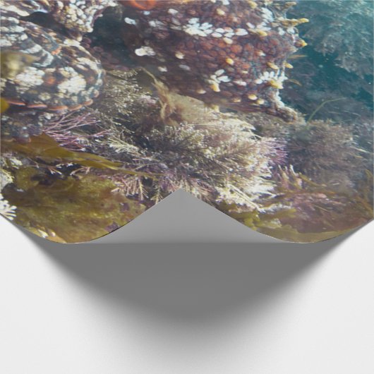 Umhüllungspapier Geschenkpapier (Ecke)