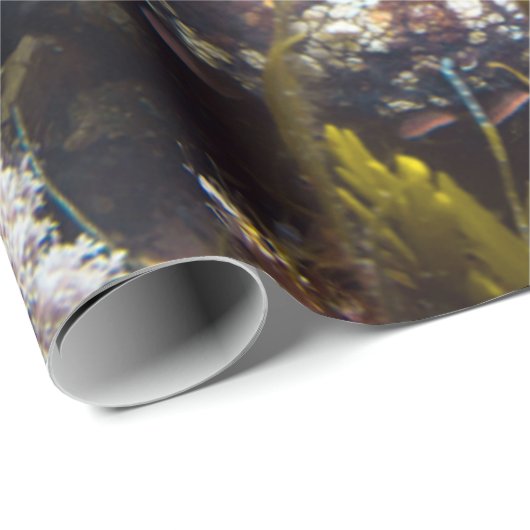 Umhüllungspapier Geschenkpapier (Rolleneckpunkt)