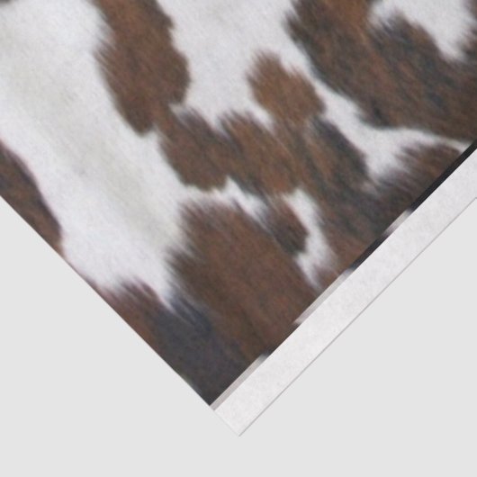 Umhüllungspapier Seidenpapier (Ausschnitt)