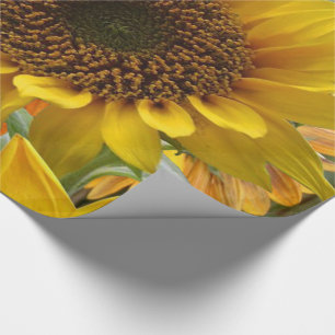 Umhüllungspapier Sonnenblumen Geschenkpapier