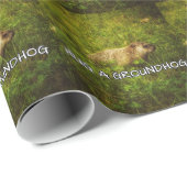 Umhüllungspapier umarmen geschenkpapier (Rolleneckpunkt)