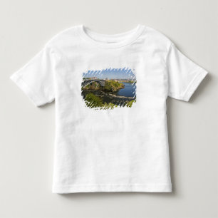 Umkehrende Fälle am St. John River bei St. 2 Kleinkind T-shirt