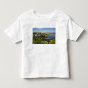 Umkehrende Fälle am St. John River bei St. 2 Kleinkind T-shirt