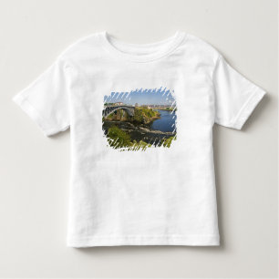 Umkehrung fällt auf den St. John River bei St. 2 Kleinkind T-shirt