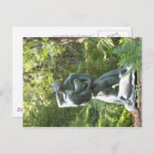 Umlauf Sculpture Garden Postkarte (Vorne/Hinten)