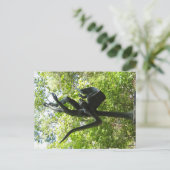 Umlauf Skulptur-Garten, Austin Texas Postkarte (Stehend Vorderseite)