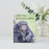 Umm sorry postkarte (Stehend Vorderseite)