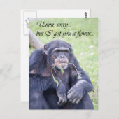 Umm sorry postkarte (Vorne/Hinten)