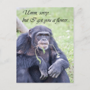 Umm sorry postkarte