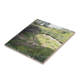 Umpherston Sinkhole Verstecktes Heiligtum Fliese