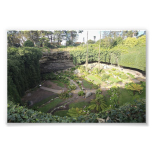 Umpherston Sinkhole Verstecktes Heiligtum Fotodruck