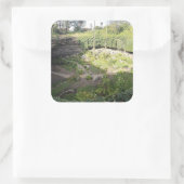 Umpherston Sinkhole Verstecktes Heiligtum Quadratischer Aufkleber (Tasche)