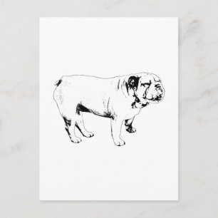Umriss Hallo, Bulldogge Postkarte