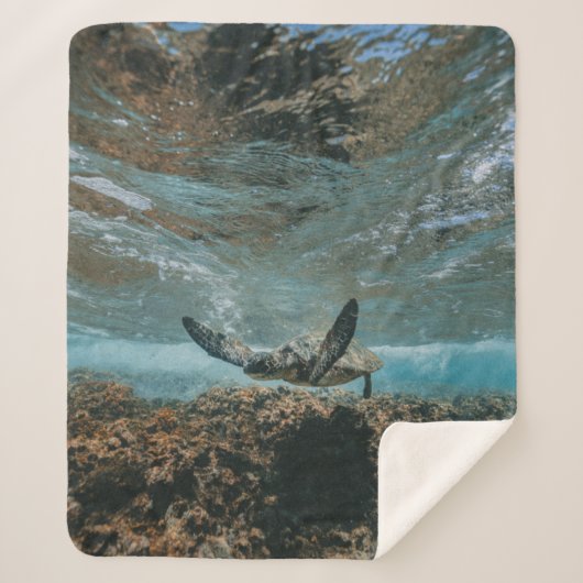 UMSCHALTEN SHERPADECKE (Vorderseite)