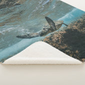 UMSCHALTEN SHERPADECKE (3/4)