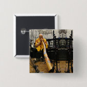 Umschalttaste Button (Vorne & Hinten)