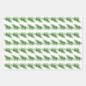 Umschlag (3 Muster) - Hawaiisch Geschenkpapier Set (Vorderseite)