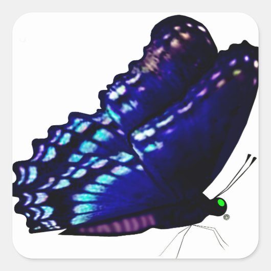 Umschlag Aufkleber (Vorderseite)