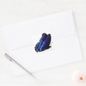 Umschlag Aufkleber (Umschlag)